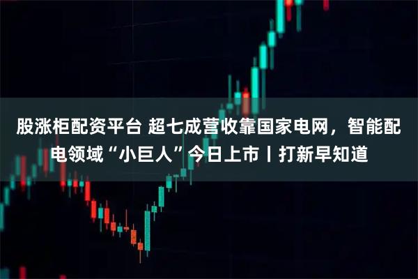 股涨柜配资平台 超七成营收靠国家电网，智能配电领域“小巨人”今日上市丨打新早知道